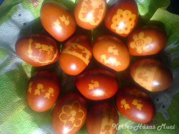 husveti himes tojas cica cicas 2