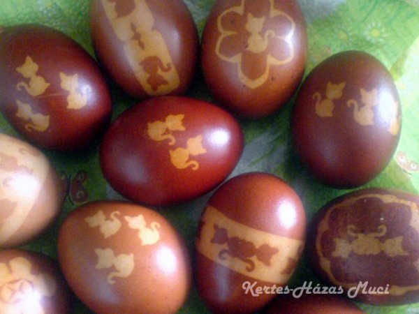 husveti himes tojas cica cicas