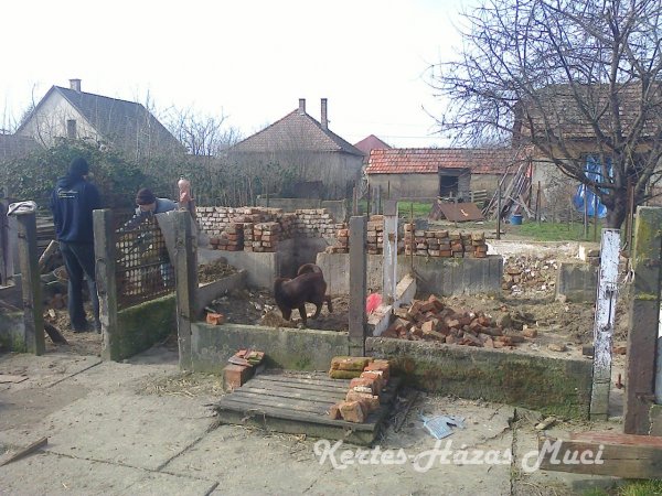 ol lebontas emelt agyas