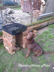 ujrahasznositott tv virágágyás 0